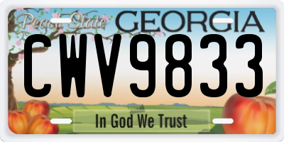 GA license plate CWV9833