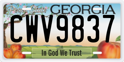 GA license plate CWV9837
