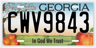 GA license plate CWV9843