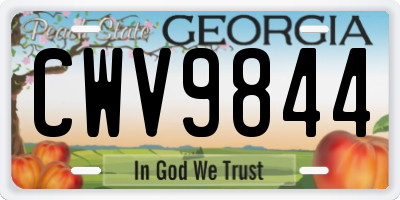 GA license plate CWV9844