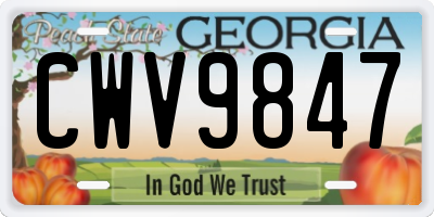 GA license plate CWV9847