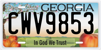 GA license plate CWV9853