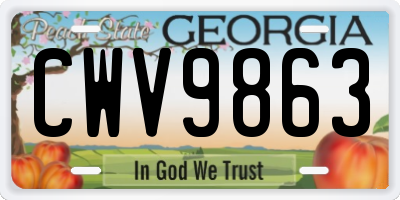 GA license plate CWV9863