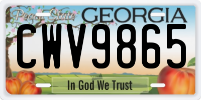 GA license plate CWV9865
