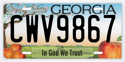 GA license plate CWV9867
