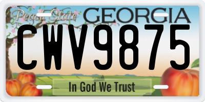 GA license plate CWV9875