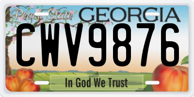 GA license plate CWV9876
