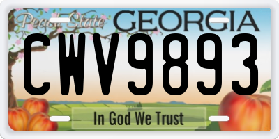 GA license plate CWV9893