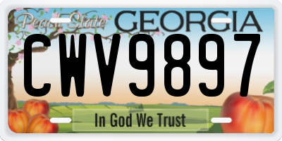 GA license plate CWV9897