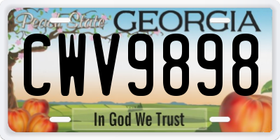 GA license plate CWV9898