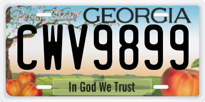 GA license plate CWV9899