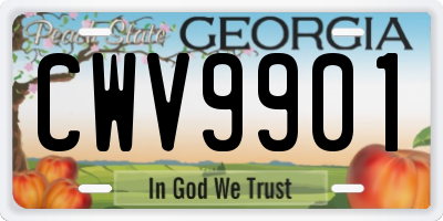 GA license plate CWV9901