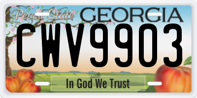 GA license plate CWV9903
