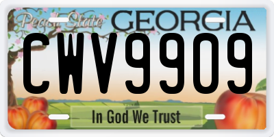 GA license plate CWV9909
