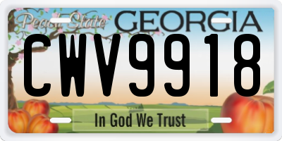 GA license plate CWV9918