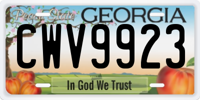 GA license plate CWV9923