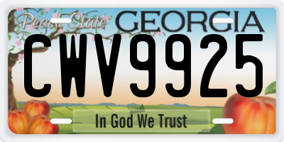 GA license plate CWV9925