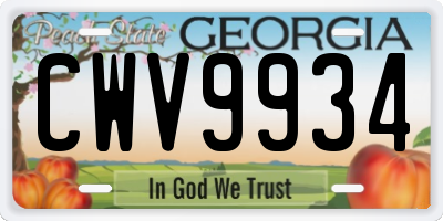 GA license plate CWV9934