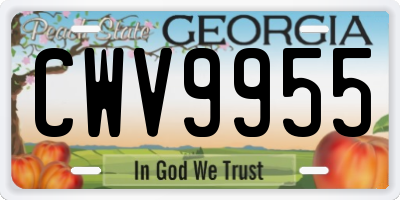 GA license plate CWV9955