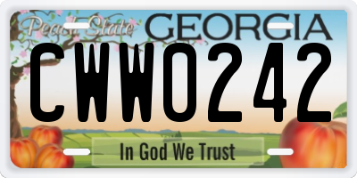 GA license plate CWW0242