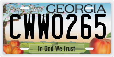 GA license plate CWW0265