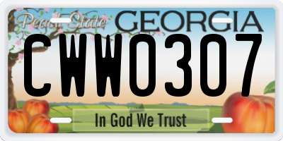 GA license plate CWW0307