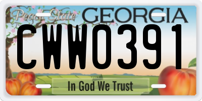 GA license plate CWW0391
