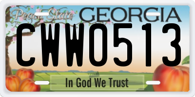GA license plate CWW0513