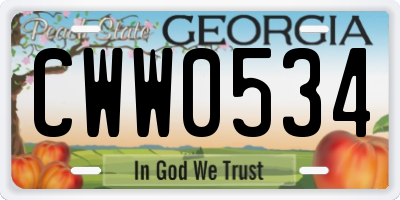 GA license plate CWW0534
