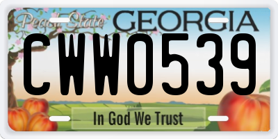 GA license plate CWW0539