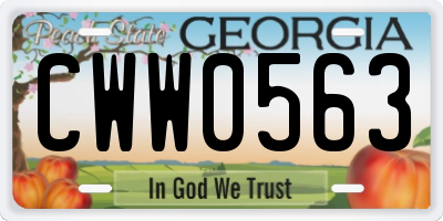 GA license plate CWW0563