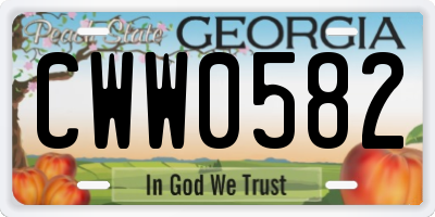 GA license plate CWW0582