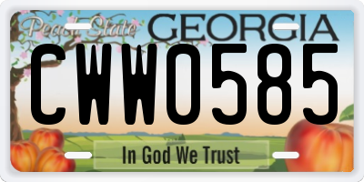GA license plate CWW0585