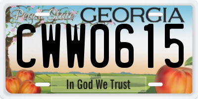 GA license plate CWW0615