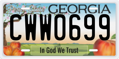 GA license plate CWW0699
