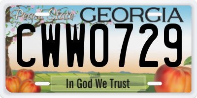 GA license plate CWW0729