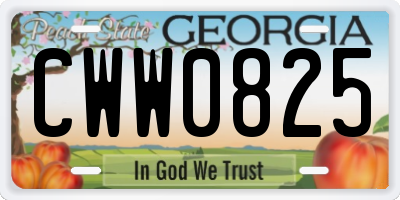 GA license plate CWW0825