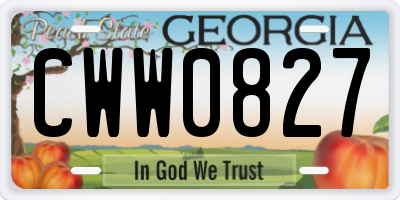 GA license plate CWW0827