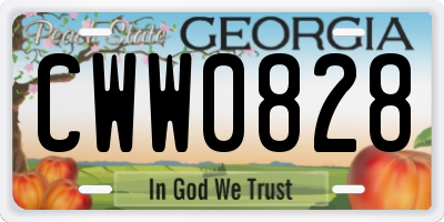 GA license plate CWW0828