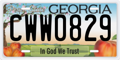 GA license plate CWW0829
