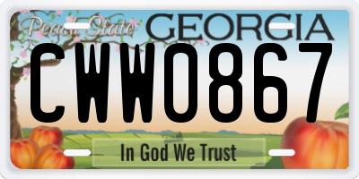 GA license plate CWW0867