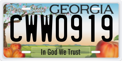 GA license plate CWW0919