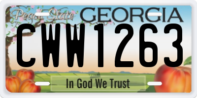GA license plate CWW1263