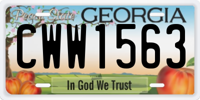 GA license plate CWW1563