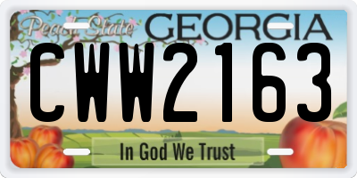 GA license plate CWW2163
