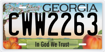 GA license plate CWW2263