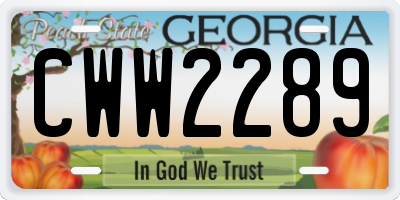 GA license plate CWW2289