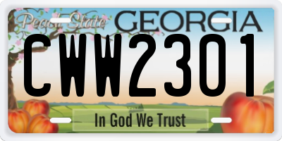 GA license plate CWW2301