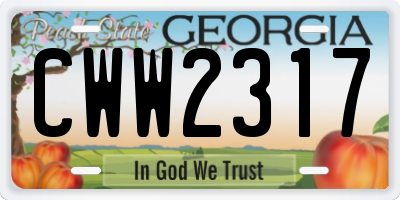 GA license plate CWW2317