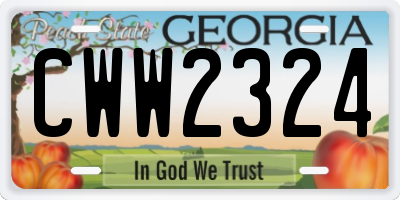GA license plate CWW2324